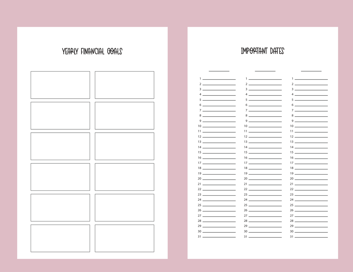 2025 Dated Pink Florals Budget Planner